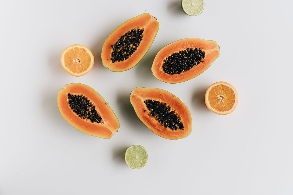Papaya Hund: Können Hunde Papaya fressen? – go4vet