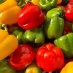 Dürfen Hunde Paprika essen? Rote Paprika – ja, grüne mit Vorsicht
