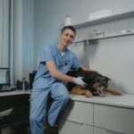 Patellaluxation beim Hund