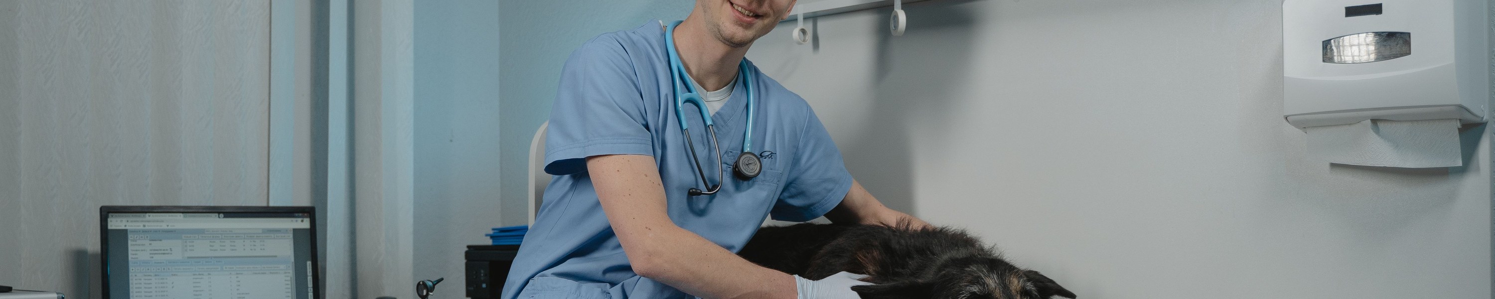 Patellaluxation beim Hund