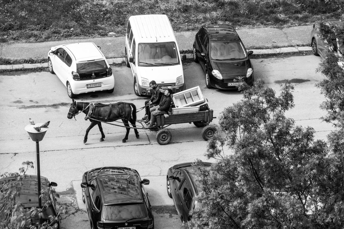 Pferd transportieren: Anhänger-Tipps und Stressvermeidung – go4vet