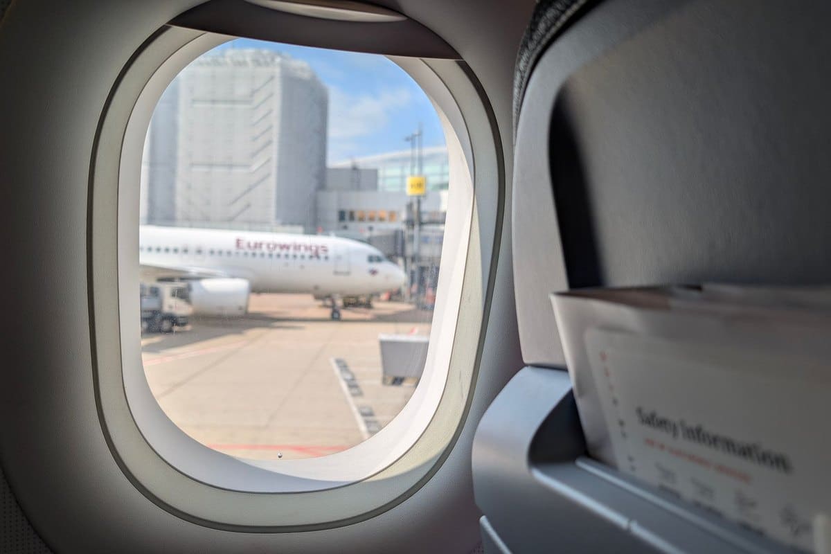 Reisestress beim Hund und der Katze: was im Auto und Flug hi – go4vet