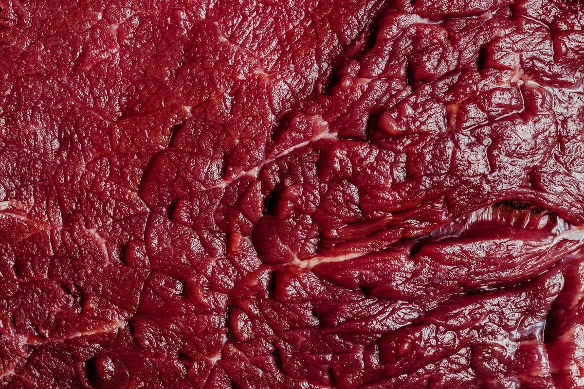 Rindfleisch für Katzen: Roh oder gegart? – go4vet