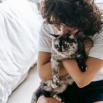 Selbstbeteiligung Katzenversicherung: Modelle, Beispiele