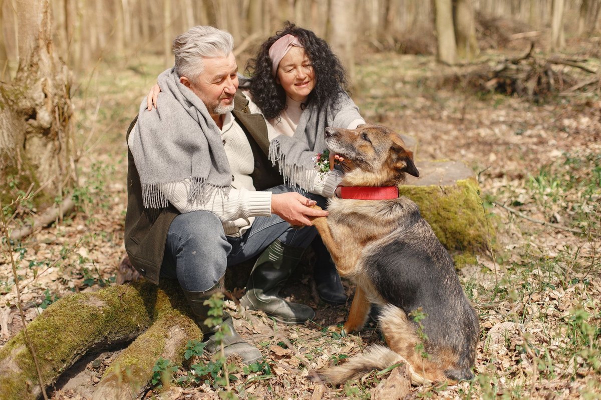 Senior Hund Ratgeber, alles für deinen alten Vierbeiner – go4vet