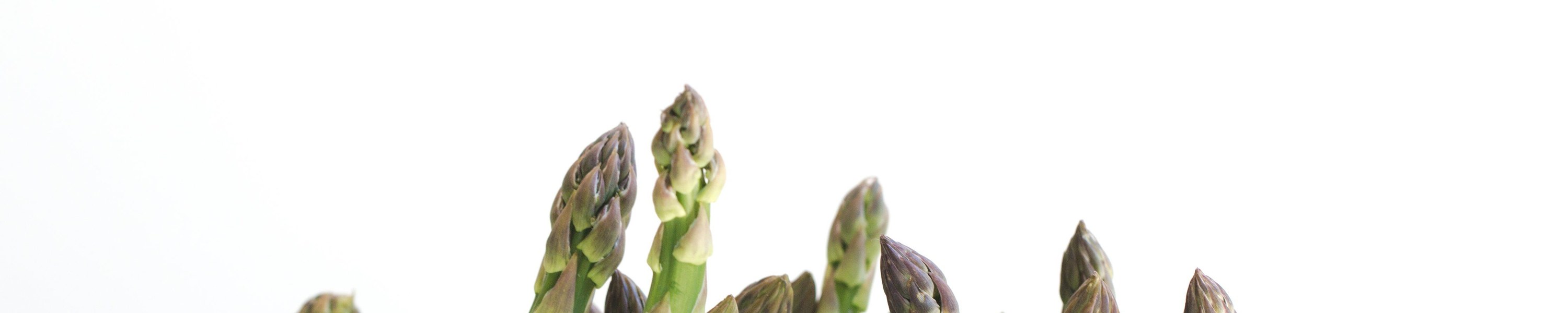 Spargel Katze: Können Katzen Spargel essen?