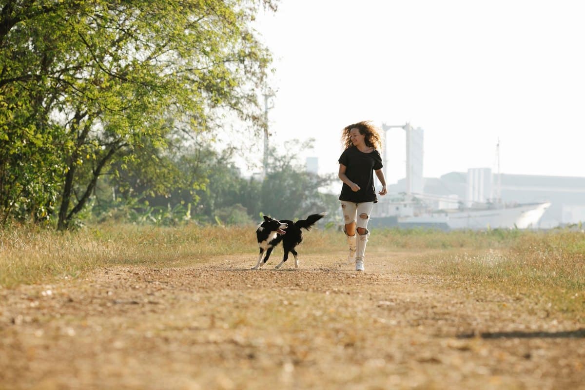 Spulwürmer beim Hund – go4vet