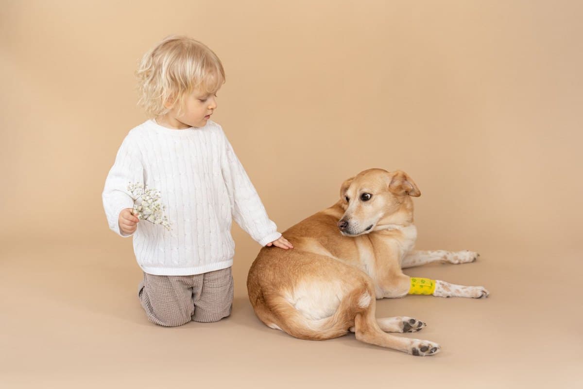 Tierarztkosten beim Hund: Was kostet was? – go4vet