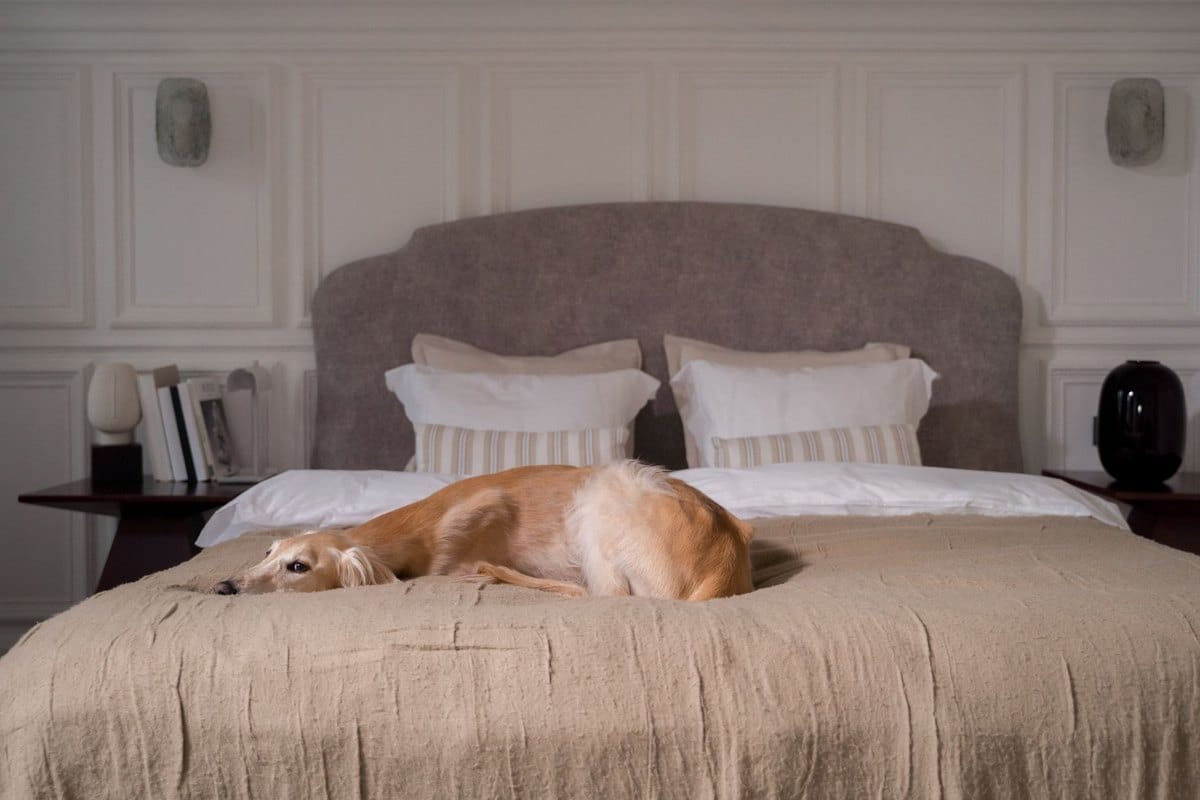 Unterkunft mit Hund: Hotel, Ferienwohnung, Camping – go4vet