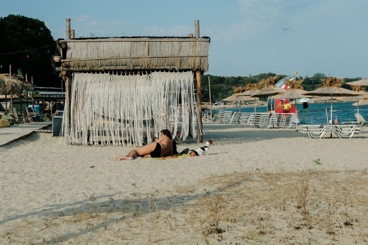 Urlaub mit Hund in Bulgarien – go4vet