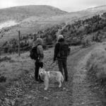 Urlaub mit Hund in Dänemark