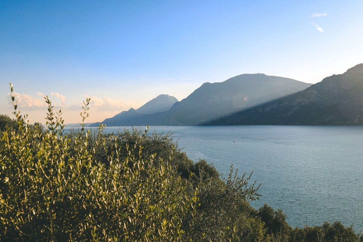 Mit Hund an den Gardasee: Strände, Touren und Tipps – go4vet