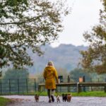 Urlaub mit Hund in Grossbritannien