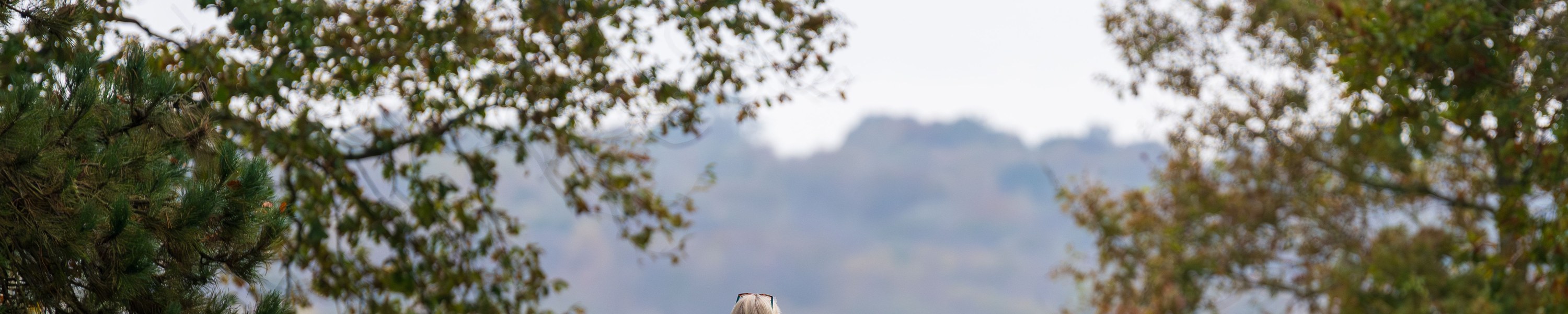 Urlaub mit Hund in Grossbritannien