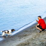 Urlaub mit Hund in Italien: Regeln, Strände und Unterkünfte