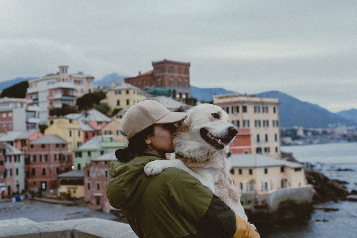 Urlaub mit Hund in Italien: Regeln, Strände und Unterkünfte – go4vet