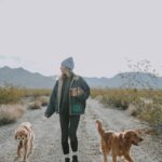 Mit Hund in Kärnten: Urlaub an den Badeseen