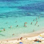 Mit Hund nach Mallorca