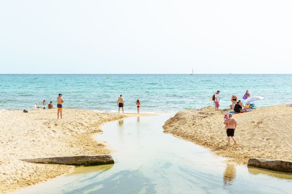 Mit Hund nach Mallorca – go4vet