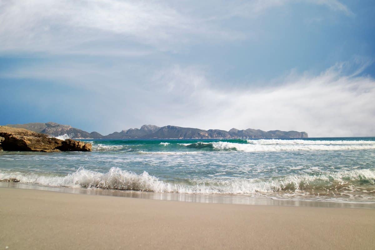Mit Hund nach Mallorca – go4vet