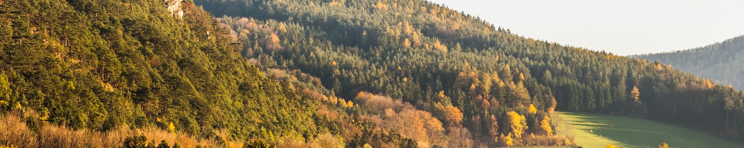 Urlaub mit Hund in Niederösterreich: Wachau, Waldviertel und Wienerwald
