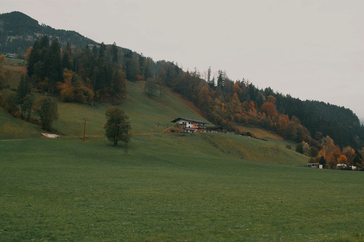 Urlaub mit Hund in Österreich: die schönsten Regionen – go4vet