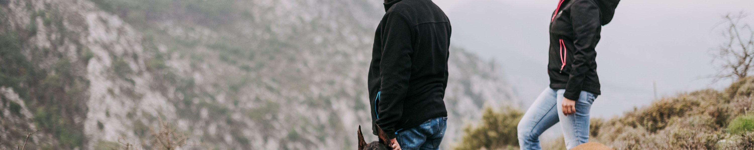 Urlaub mit Hund in Österreich: die schönsten Regionen