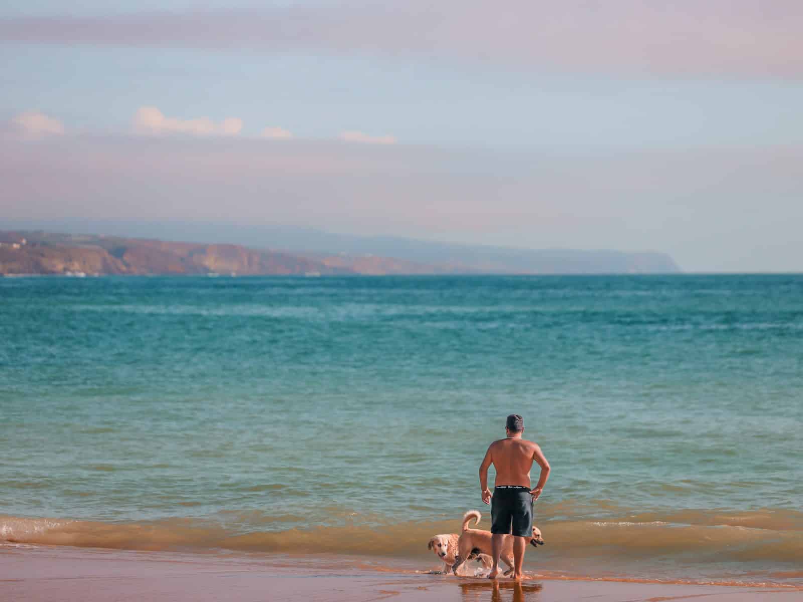 Urlaub mit Hund in Portugal