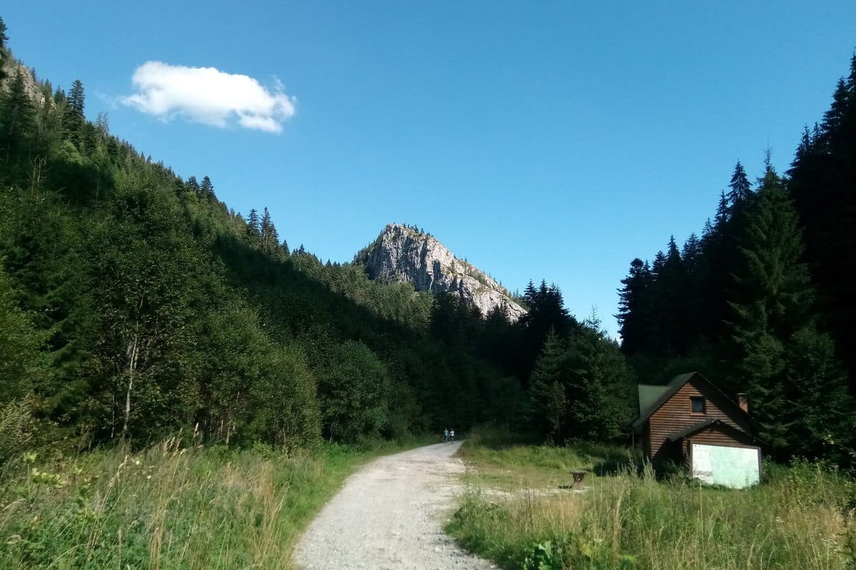 Urlaub mit Hund in Rumänien – go4vet