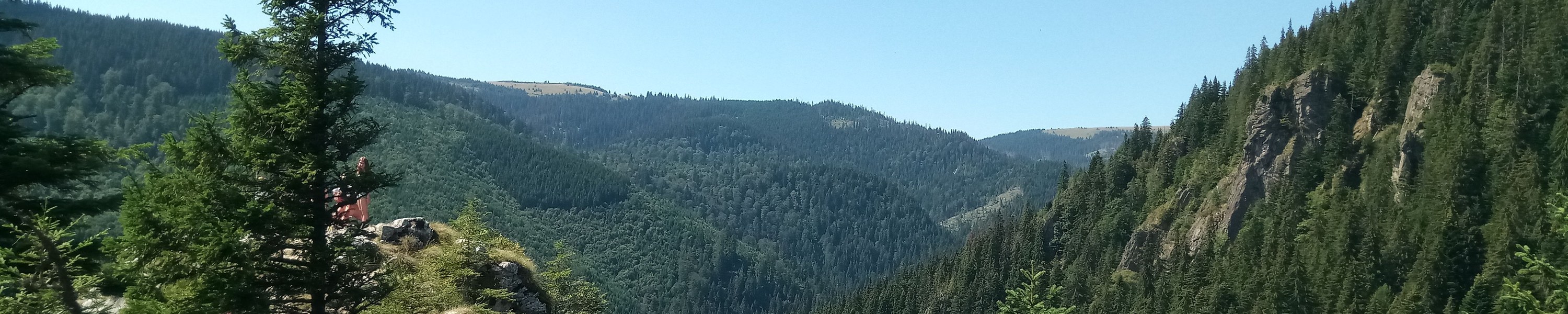 Urlaub mit Hund in Rumänien