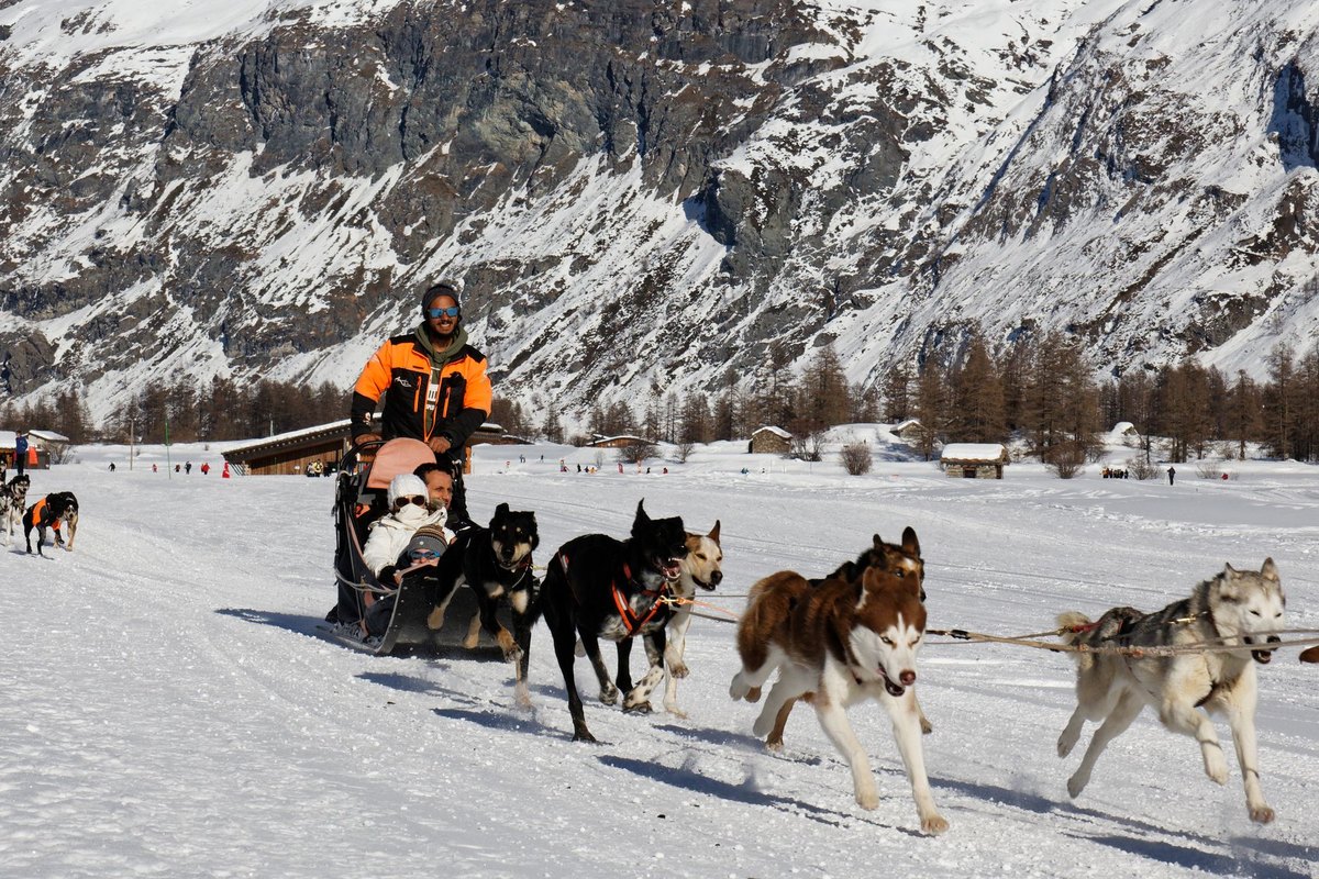 Urlaub mit Hund in der Schweiz – go4vet