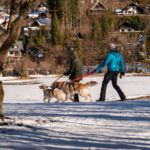 Urlaub mit Hund in Slowenien: Natur vor der Haustür