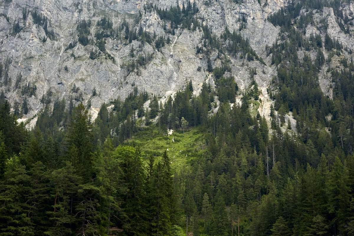Mit Hund in der Steiermark – go4vet