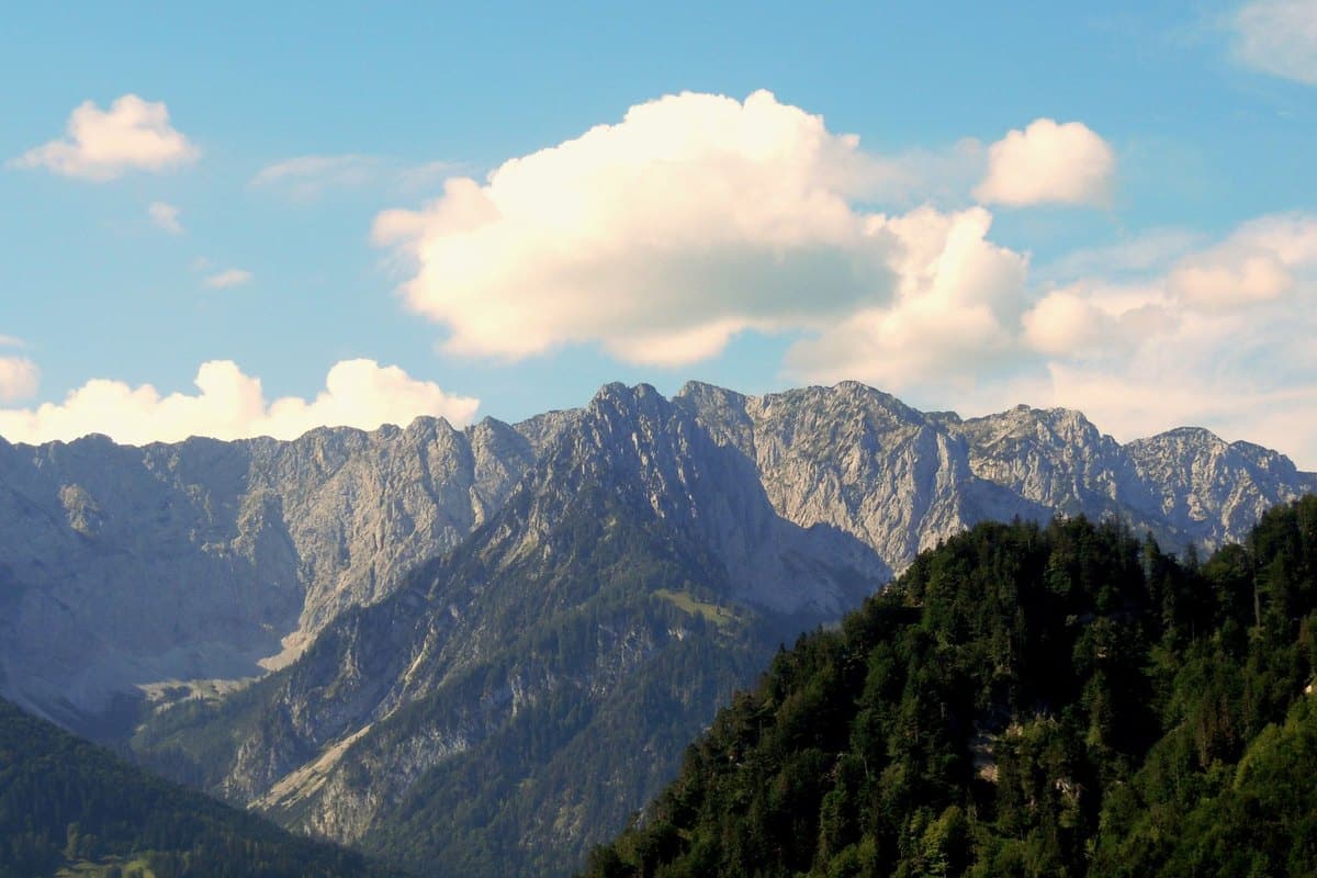 Mit Hund in Tirol: Urlaub in den Alpen – go4vet
