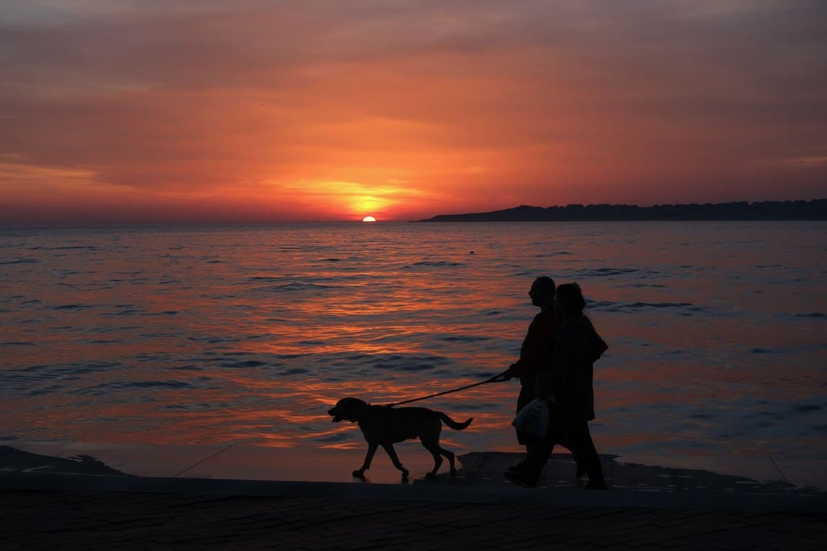 Urlaub mit Hund in der Türkei – go4vet