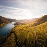 Mit Hund durch die Wachau: Donautal, Weinorte und Donauradweg