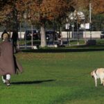 Mit Hund im Wienerwald: Wandern und Ausflüge ab Wien