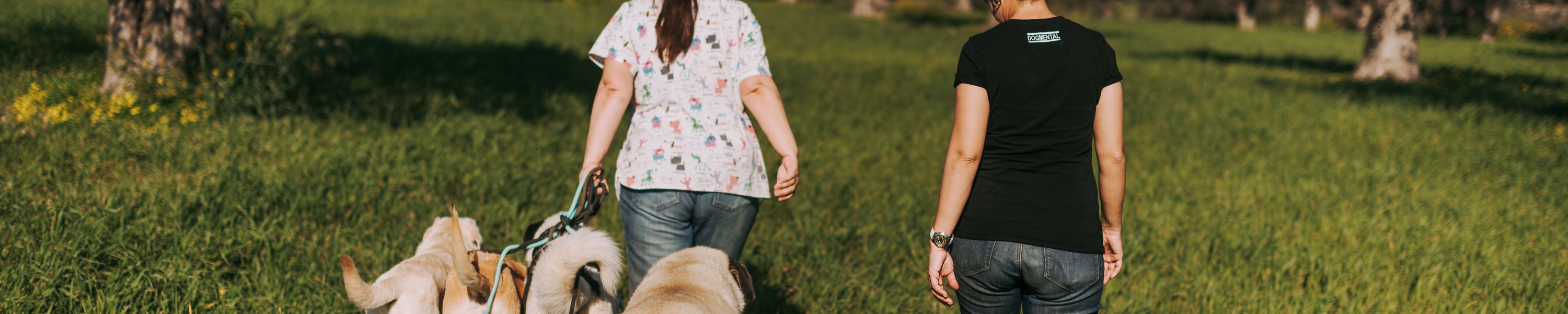 Urlaub mit Hund auf Zypern