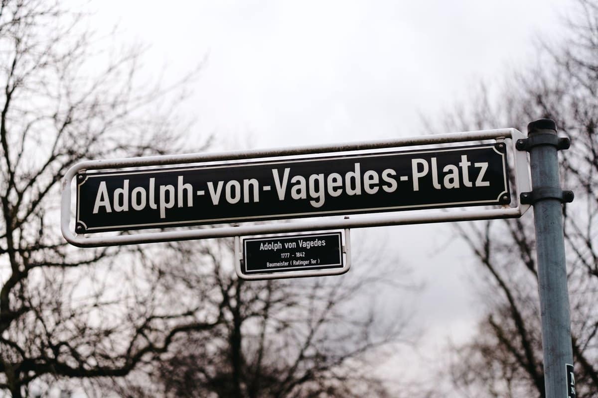 Vorteile von getreidefreiem Hundefutter – go4vet