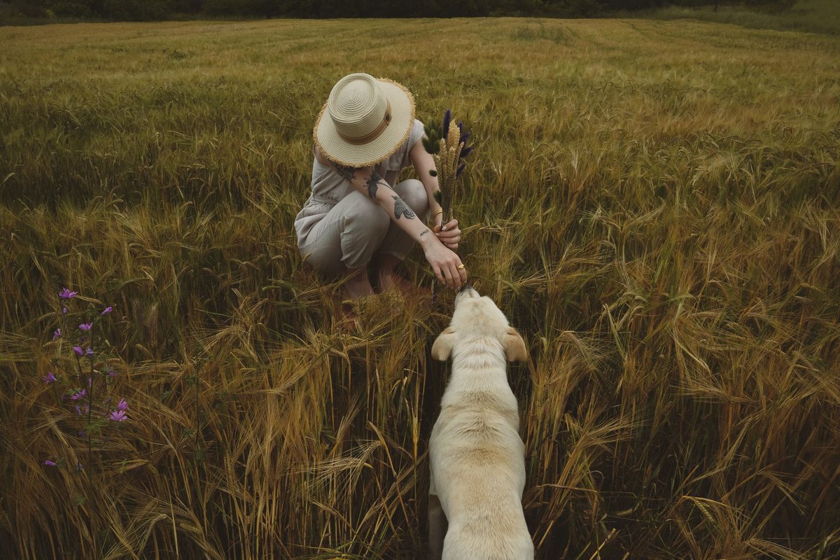 Vorteile von getreidefreiem Hundefutter – go4vet
