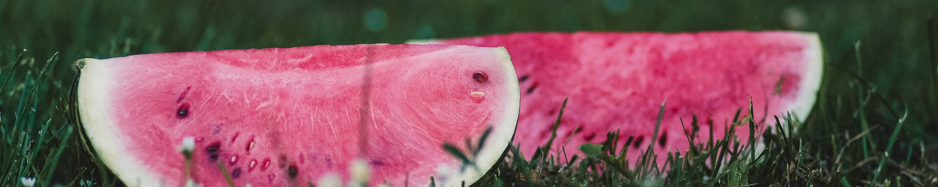 Dürfen Hunde Wassermelone essen? Erfrischend und sicher!