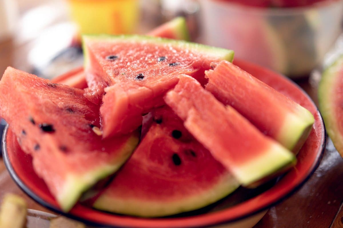 Dürfen Katzen Wassermelone essen? Erfrischend und sicher! – go4vet