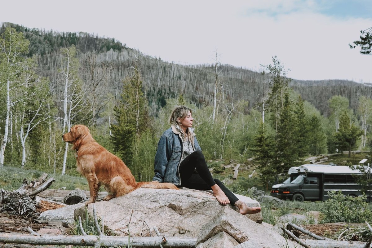 Wohnmobil und Camping-Bus mit Hund: der entspannte Roadtrip – go4vet