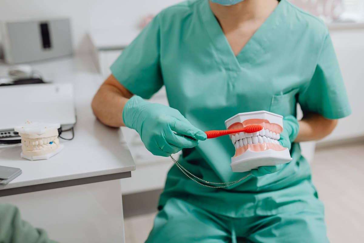 Zahnpflege beim Pferd: Kontrolle, Probleme & Behandlung – go4vet