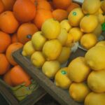 Zitrusfrüchte Katze: Sind Orangen und Zitronen giftig?