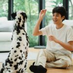 Clickertraining für Hunde: Anleitung für Einsteiger