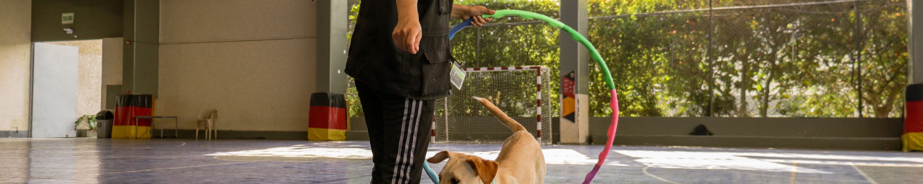 Clickertraining für Hunde: Anleitung für Einsteiger
