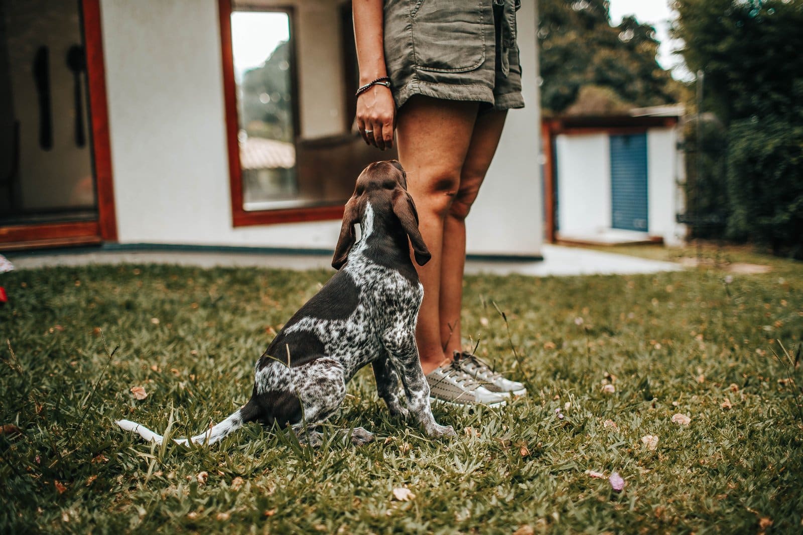 Person übt Clickertraining mit dem Hund im Freien