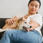 Hund Angst vor Gewitter: Das hilft wirklich