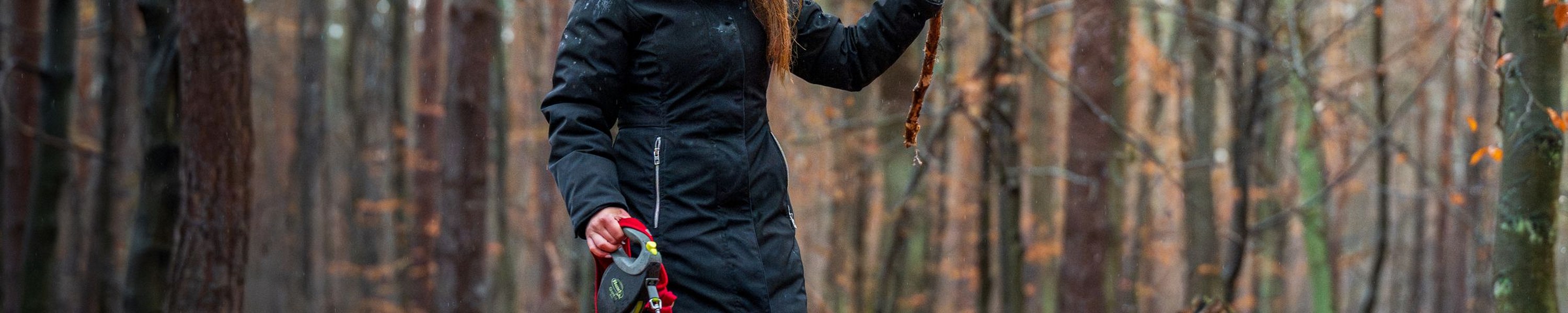 Hund auslasten: Bewegung, Kopfarbeit und Ruhe im richtigen Maß